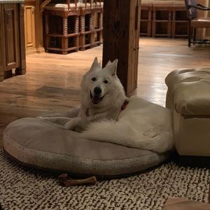 Meet your Posher, Nancy